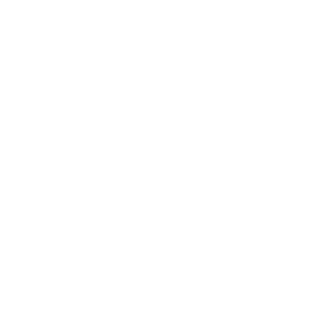 Emirates Tech and Invest